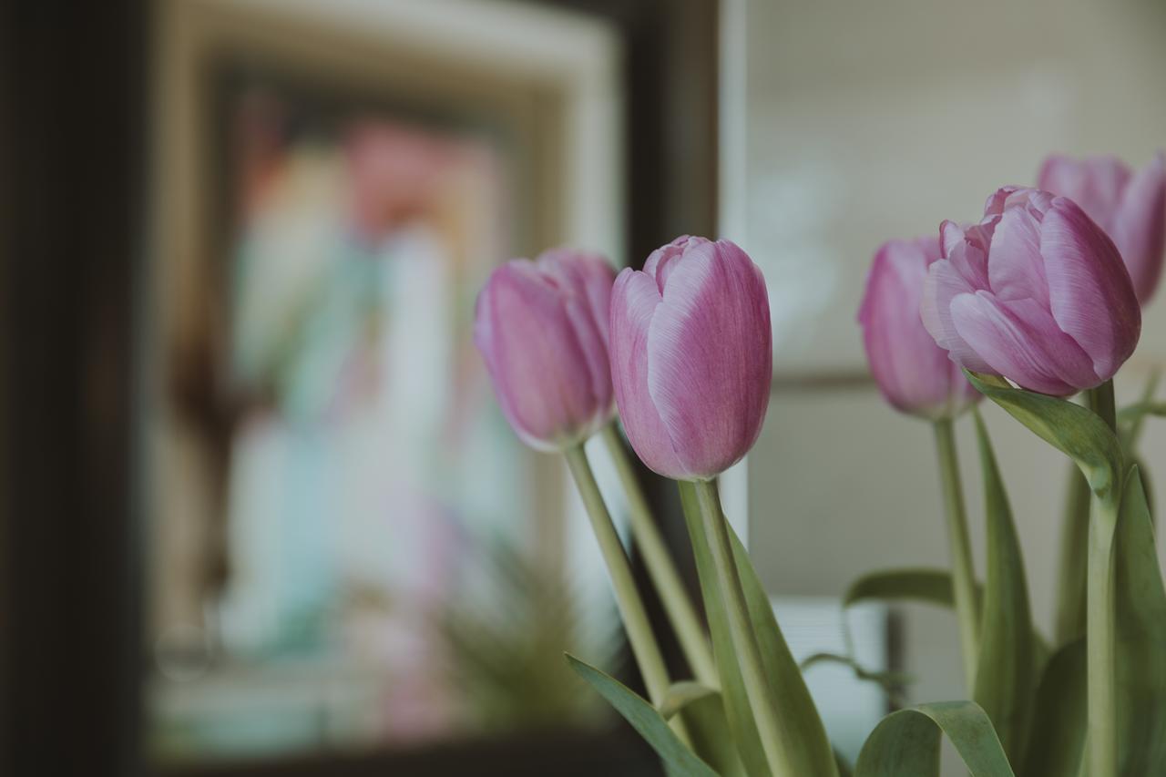 B&B Ines Sant Cugat del Valles Ngoại thất bức ảnh